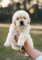 processed/3c0c30d9-b4e1-44c8-8452-8d9df7dbc20e/facility/3cf98519-f05e-44ea-9368-eca697de89d1