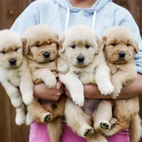 processed/3c0c30d9-b4e1-44c8-8452-8d9df7dbc20e/facility/423f598e-d1fa-4a0d-80f2-f459845576f4