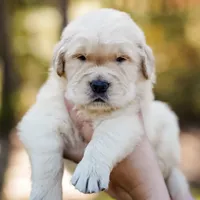 processed/3c0c30d9-b4e1-44c8-8452-8d9df7dbc20e/facility/93f7e979-37ab-4a14-a57c-211a22d7f676