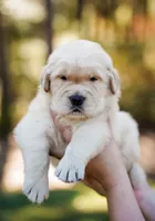 processed/3c0c30d9-b4e1-44c8-8452-8d9df7dbc20e/facility/93f7e979-37ab-4a14-a57c-211a22d7f676