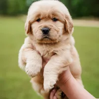 processed/3c0c30d9-b4e1-44c8-8452-8d9df7dbc20e/facility/bce42770-1879-49ac-a667-712f6fd9f28b