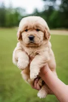 processed/3c0c30d9-b4e1-44c8-8452-8d9df7dbc20e/facility/bce42770-1879-49ac-a667-712f6fd9f28b