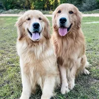 processed/3c0c30d9-b4e1-44c8-8452-8d9df7dbc20e/facility/c122e951-f0de-4a62-88a7-64be15c9a093