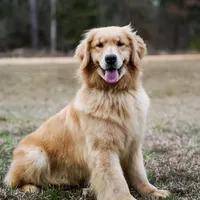 processed/3c0c30d9-b4e1-44c8-8452-8d9df7dbc20e/facility/c75cab95-60c1-4c6e-a9a7-a5adbe949e8c