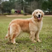 processed/3c0c30d9-b4e1-44c8-8452-8d9df7dbc20e/facility/d1ae1f17-1c1f-4f59-a102-f73e4e543058