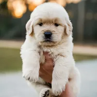 processed/3c0c30d9-b4e1-44c8-8452-8d9df7dbc20e/facility/df1dbf47-e81e-449a-b2b0-bc3b51b502d2