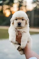 processed/3c0c30d9-b4e1-44c8-8452-8d9df7dbc20e/facility/df1dbf47-e81e-449a-b2b0-bc3b51b502d2