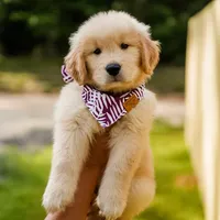 processed/3c0c30d9-b4e1-44c8-8452-8d9df7dbc20e/facility/efe6b366-db7b-4ccd-b932-837c15bdd822