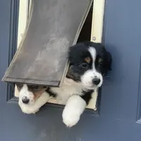 processed/3c16cedc-03b7-45f8-9545-e6d476087bbc/facility/1e5ba688-c0b0-40c2-951d-4ca7c2d31230