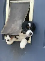 processed/3c16cedc-03b7-45f8-9545-e6d476087bbc/facility/1e5ba688-c0b0-40c2-951d-4ca7c2d31230