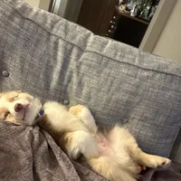 processed/3c16cedc-03b7-45f8-9545-e6d476087bbc/facility/439d23e6-4c81-4f07-9256-7cc513c980b6