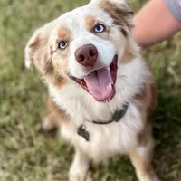 processed/3c16cedc-03b7-45f8-9545-e6d476087bbc/facility/5b1ba460-df64-4bfc-90a6-59fa58d034bd