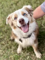 processed/3c16cedc-03b7-45f8-9545-e6d476087bbc/facility/5b1ba460-df64-4bfc-90a6-59fa58d034bd