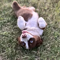 processed/3c16cedc-03b7-45f8-9545-e6d476087bbc/facility/9ad19278-17f8-45a5-ad77-66d99ea20313