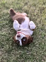 processed/3c16cedc-03b7-45f8-9545-e6d476087bbc/facility/9ad19278-17f8-45a5-ad77-66d99ea20313