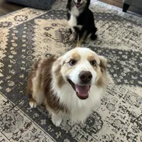 processed/3c16cedc-03b7-45f8-9545-e6d476087bbc/facility/b044dc8d-619a-4726-808d-db9be1d5141f