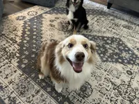 processed/3c16cedc-03b7-45f8-9545-e6d476087bbc/facility/b044dc8d-619a-4726-808d-db9be1d5141f