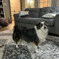 processed/3c16cedc-03b7-45f8-9545-e6d476087bbc/facility/c917c27b-9ffa-4420-9a9b-181442cbed3f