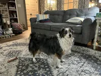 processed/3c16cedc-03b7-45f8-9545-e6d476087bbc/facility/c917c27b-9ffa-4420-9a9b-181442cbed3f