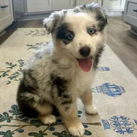 processed/3c16cedc-03b7-45f8-9545-e6d476087bbc/facility/c98c4d45-b247-4b1b-b1f8-d5f3d33cde73