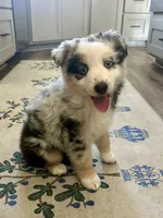 processed/3c16cedc-03b7-45f8-9545-e6d476087bbc/facility/c98c4d45-b247-4b1b-b1f8-d5f3d33cde73