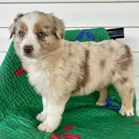 processed/3c16cedc-03b7-45f8-9545-e6d476087bbc/facility/f65ddd00-1cf1-4e57-a6e4-6ce99ad8427f