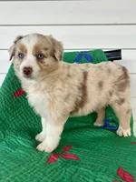 processed/3c16cedc-03b7-45f8-9545-e6d476087bbc/facility/f65ddd00-1cf1-4e57-a6e4-6ce99ad8427f