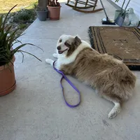 processed/3c16cedc-03b7-45f8-9545-e6d476087bbc/facility/f837a74f-d1f9-4609-962f-f7258c3c5482