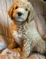 processed/3c1a2dcf-7a27-4d50-afd6-b4228d199821/facility/1fbf6cda-867a-49c2-9cc3-a8700f117580