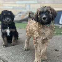 processed/3c1a2dcf-7a27-4d50-afd6-b4228d199821/facility/3ea8b457-fe44-4755-8bbe-00c92dbce0d7