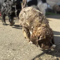 processed/3c1a2dcf-7a27-4d50-afd6-b4228d199821/facility/437e0748-82db-4664-9acb-1ce5a709c066