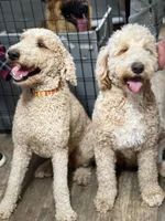 processed/3c1a2dcf-7a27-4d50-afd6-b4228d199821/facility/45e69dfc-526f-4ba5-b67d-eacb7cb3a15c