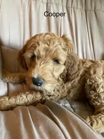 processed/3c1a2dcf-7a27-4d50-afd6-b4228d199821/facility/50d06108-69ca-4571-b554-6ca68c8df879