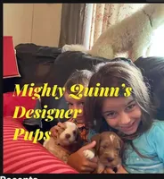 processed/3c1a2dcf-7a27-4d50-afd6-b4228d199821/facility/68de4c07-2474-4dd4-b8a4-b8f471726319