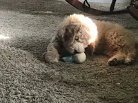 processed/3c1a2dcf-7a27-4d50-afd6-b4228d199821/facility/69e413ee-ec5f-484c-b27b-9551a6f88b3e