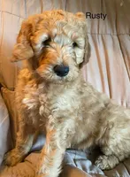 processed/3c1a2dcf-7a27-4d50-afd6-b4228d199821/facility/6dbd7ff3-d31f-4ad1-b99a-6d97b148842b