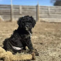 processed/3c1a2dcf-7a27-4d50-afd6-b4228d199821/facility/701fc477-efbf-448f-9afe-49a1fa749773