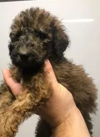 processed/3c1a2dcf-7a27-4d50-afd6-b4228d199821/facility/af8798c5-2cec-41ed-a1d8-fb674f0b42aa