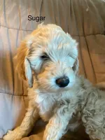 processed/3c1a2dcf-7a27-4d50-afd6-b4228d199821/facility/d9ed4a8e-1330-4d13-b227-b6f07ca1bc8d