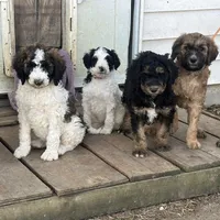 processed/3c1a2dcf-7a27-4d50-afd6-b4228d199821/facility/df2ee61d-3e55-43c0-a6b0-21485b3993b5