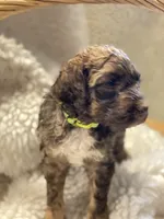 processed/3c1a2dcf-7a27-4d50-afd6-b4228d199821/listing/28ca260c-0e9e-4d97-9b15-02baf0432086/780dd343-dbab-4aa6-8257-15992710d860