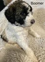 processed/3c1a2dcf-7a27-4d50-afd6-b4228d199821/listing/5537fcd2-d66d-4450-a7c0-806889555b50/444adfb9-2b34-4548-9c37-83bc0eba3141