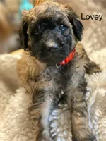 processed/3c1a2dcf-7a27-4d50-afd6-b4228d199821/listing/5de371a6-d0b8-4f09-85e3-4912aefe277a/2d245cb2-1dbd-401e-aa5c-0cd2cf75ad38