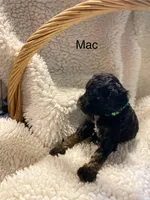 processed/3c1a2dcf-7a27-4d50-afd6-b4228d199821/listing/646f2727-127f-4d97-b751-25832b3a04c3/1fec9c88-8f59-4817-b561-7bc9b624400d