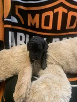 processed/3c1a2dcf-7a27-4d50-afd6-b4228d199821/listing/646f2727-127f-4d97-b751-25832b3a04c3/99e9ca2f-032d-4b4d-9217-db8f8f0aa01a