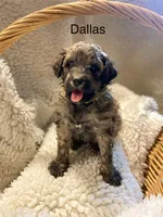 processed/3c1a2dcf-7a27-4d50-afd6-b4228d199821/listing/c9d00faa-18b7-4773-9094-b8632acd8af4/6528b44e-0a2d-4116-ac61-4c1cd0aff766