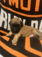 processed/3c1a2dcf-7a27-4d50-afd6-b4228d199821/listing/dbc7e606-d67b-4e31-8be7-b12c346f740a/1f285830-c05b-4bb4-a98c-c31000ab5c7b