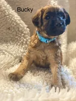 processed/3c1a2dcf-7a27-4d50-afd6-b4228d199821/listing/dbc7e606-d67b-4e31-8be7-b12c346f740a/75cb3d3a-45a0-4a9f-8e7f-8cf904eaeea4