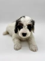 processed/3c1a3f1a-e919-43f1-8c8a-a0013bed5da4/listing/0c5f3afe-ede8-4b13-9ba6-9328558f9824/2bd67142-5062-4749-be91-65aff41bb12d