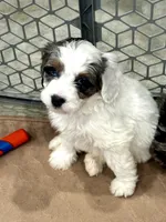 processed/3c1a3f1a-e919-43f1-8c8a-a0013bed5da4/listing/0c5f3afe-ede8-4b13-9ba6-9328558f9824/7371f61a-d877-4851-9f0d-07256ca760c8